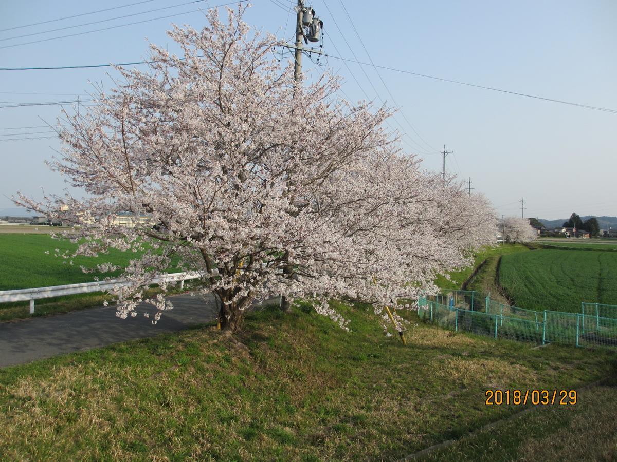 River Side Hotel Aoi (Adults Only) Matsusaka Exterior foto